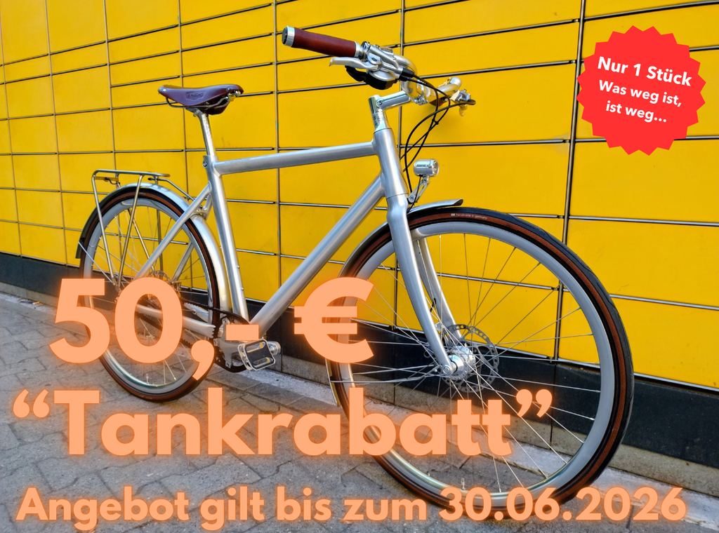 Schindelhauer Friedrich XI (M) Citybike Commuter Gates Alfine 11