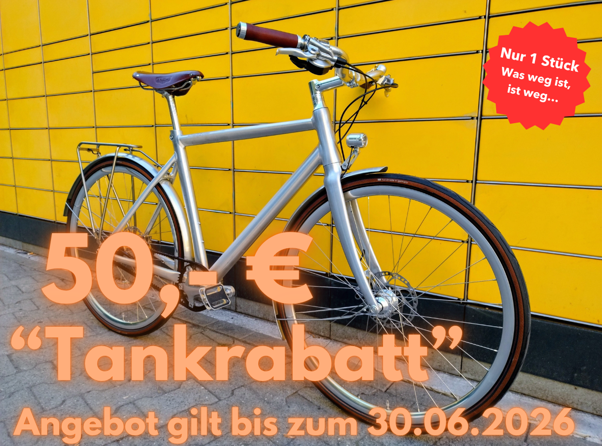 Schindelhauer Friedrich XI (M) Citybike Commuter Gates Alfine 11