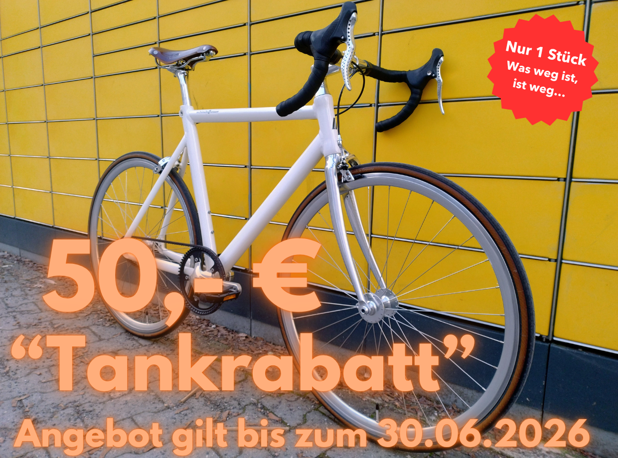 Schindelhauer Siegfried Road (M) Rennrad Citybike Alfine Gates Riemen