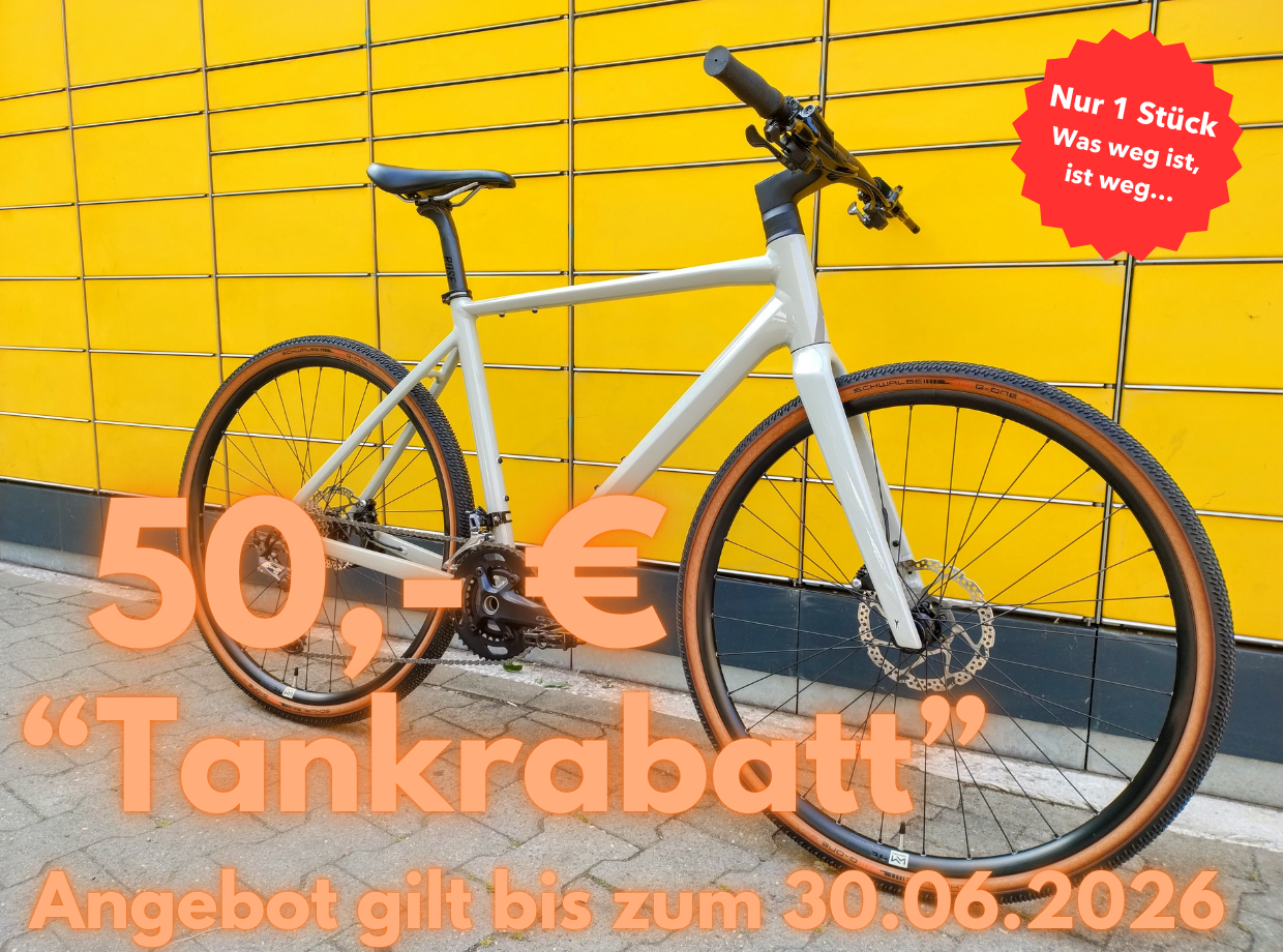 Rose Sneak 2 Citybike (M)