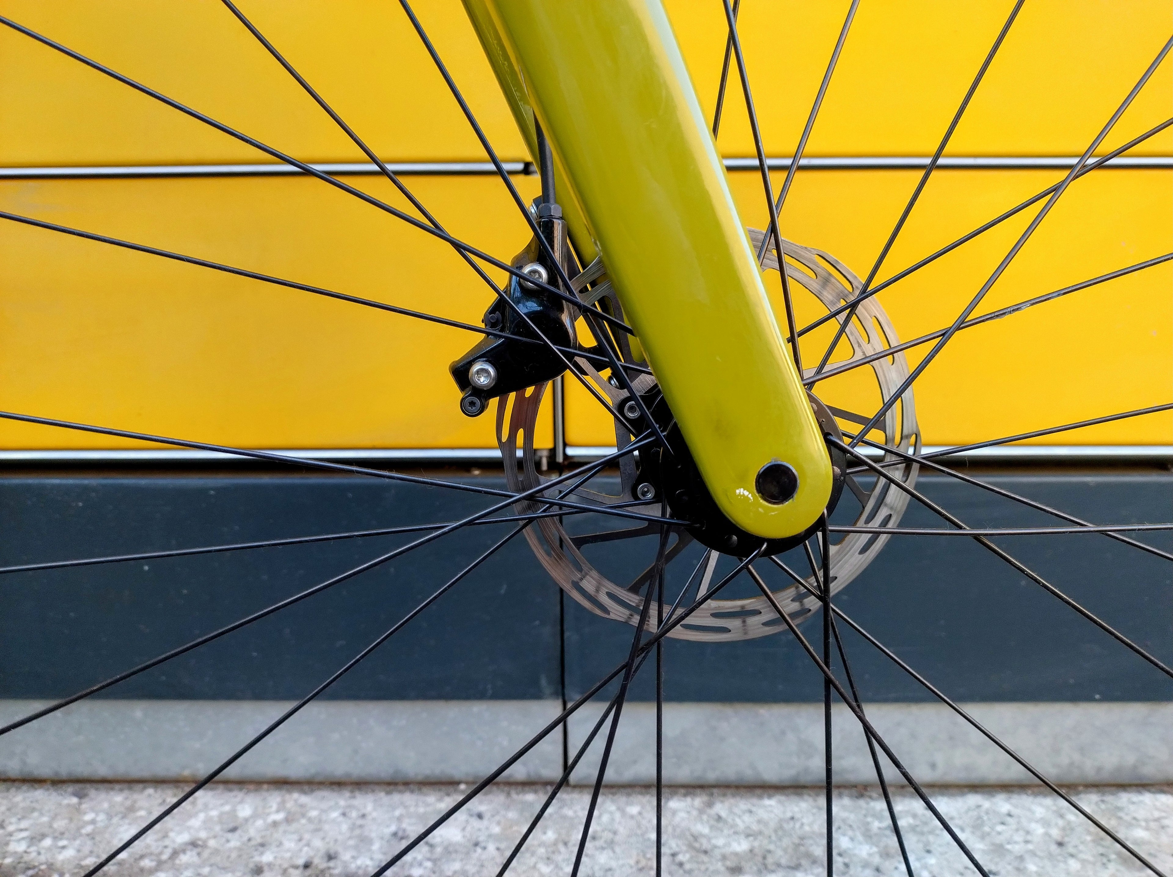 Scott Speedster Gravel 10 (M)