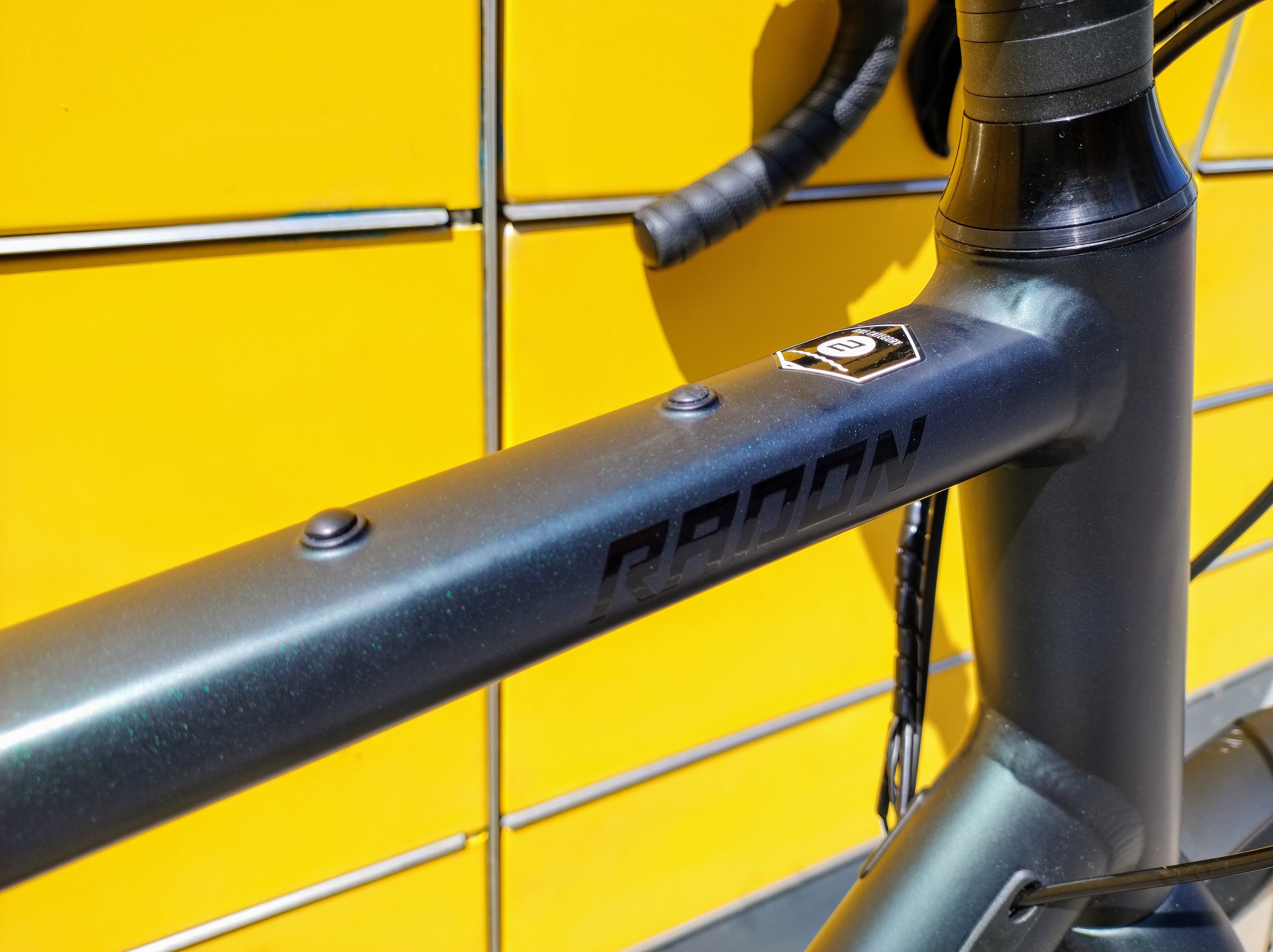 Radon Regard AL 8.0 FE (XXL)