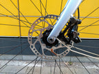 Schindelhauer Friedrich XI Limited Edition (L)