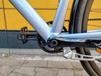 Schindelhauer Friedrich XI Limited Edition (L)
