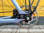 Schindelhauer Friedrich XI Limited Edition (L)