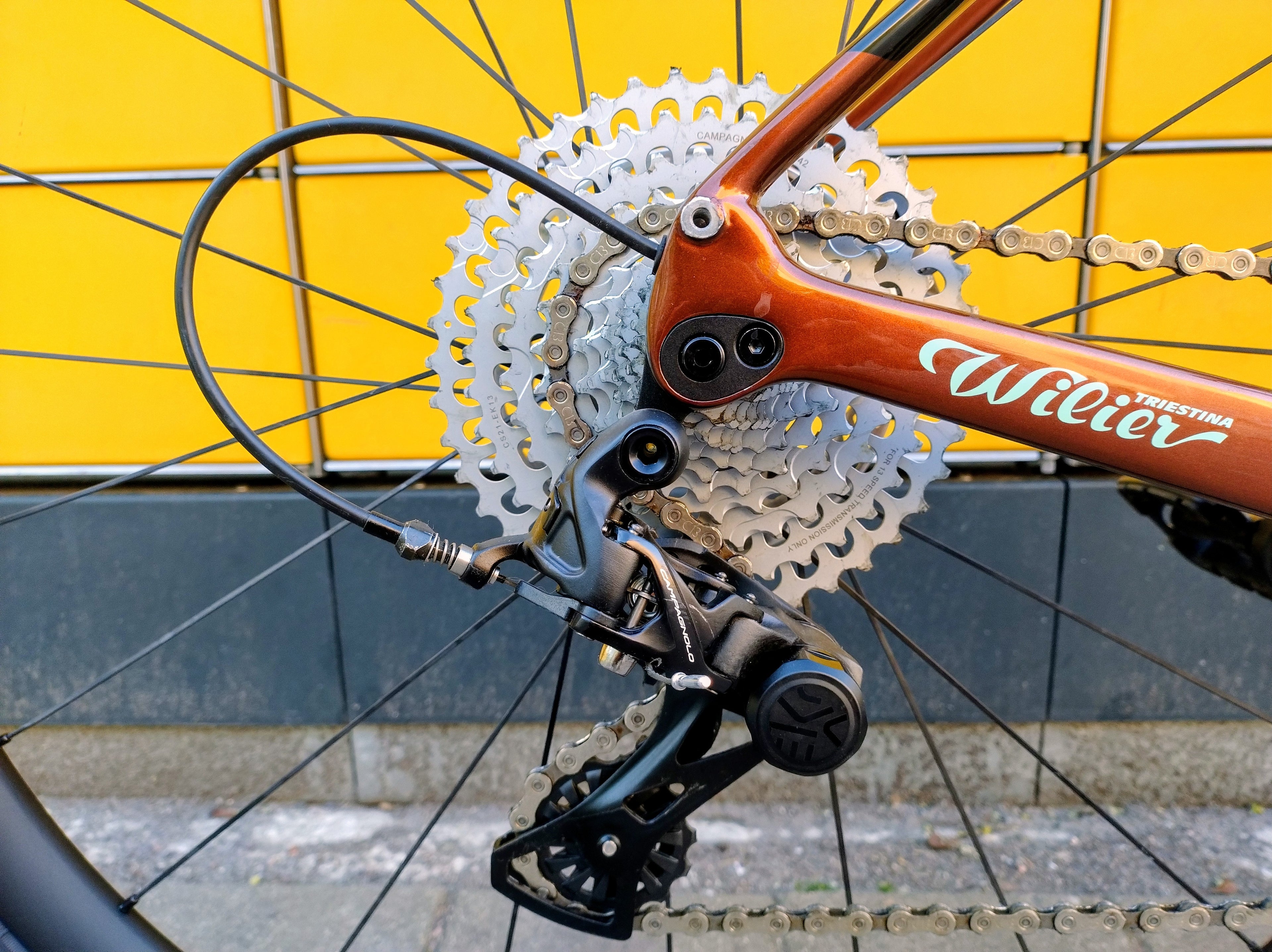 Wilier Triestina Jena (M) Gravelbike Carbon Campagnolo Ekar 1x13