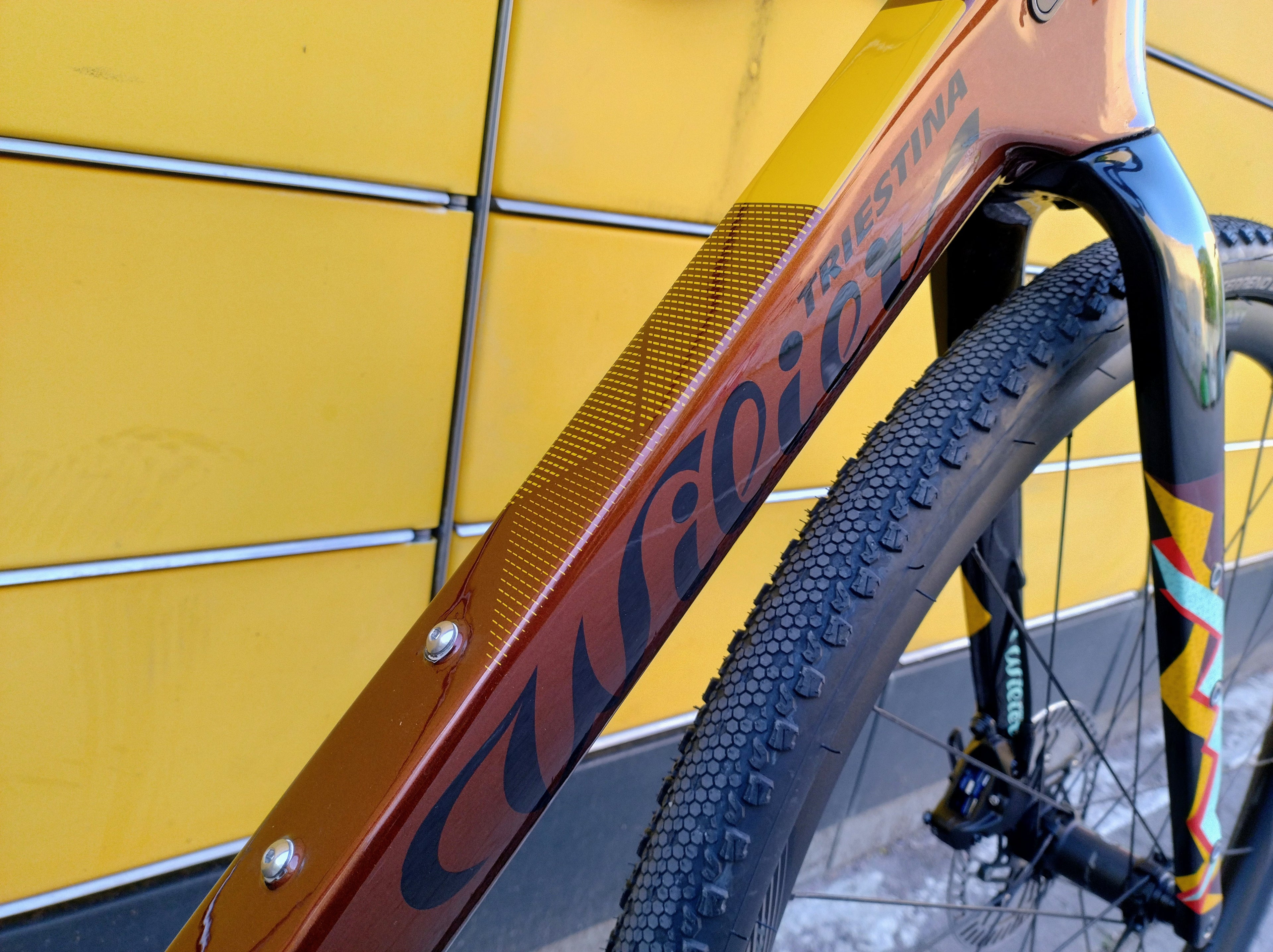 Wilier Triestina Jena (M) Gravelbike Carbon Campagnolo Ekar 1x13