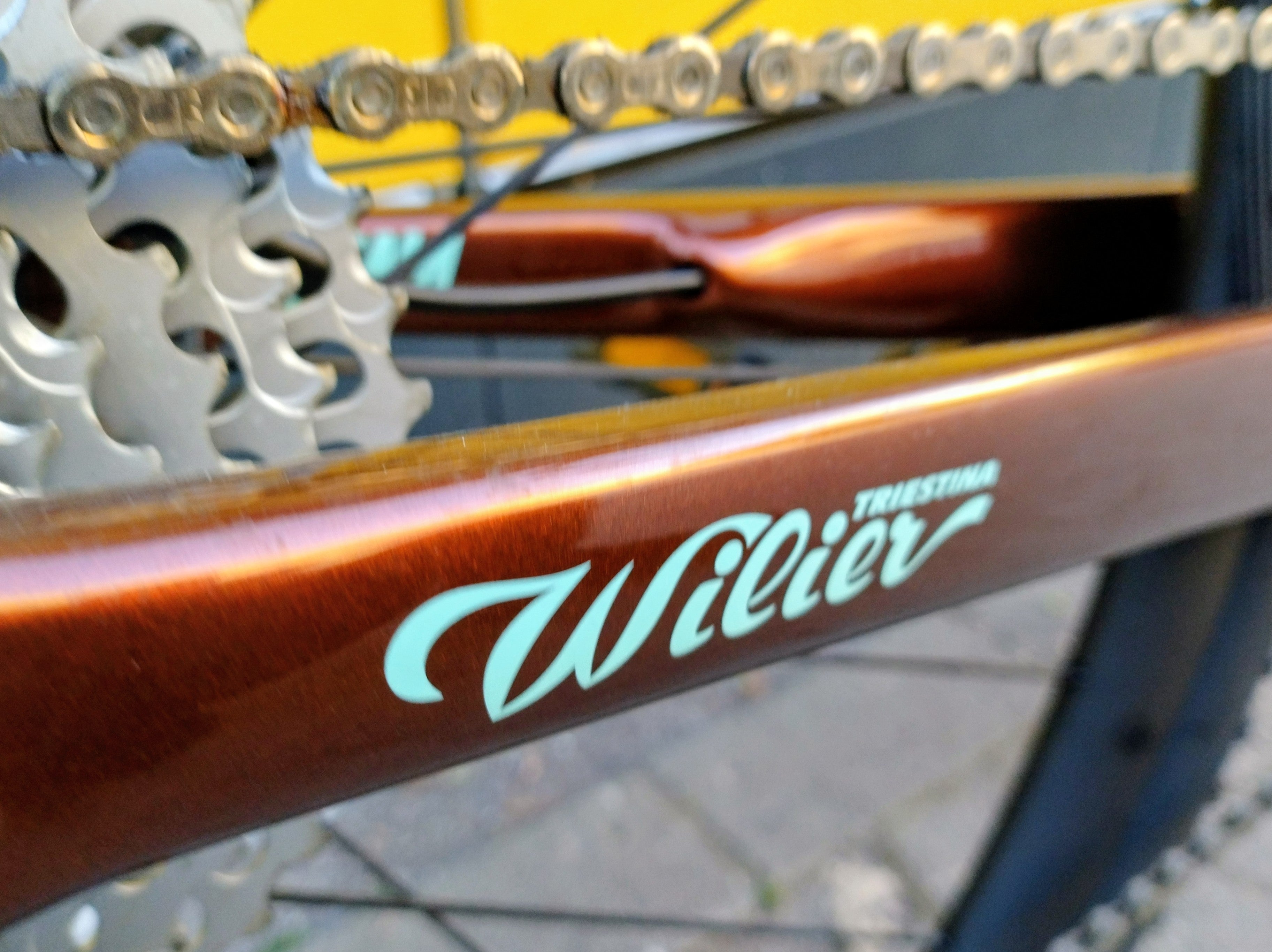 Wilier Triestina Jena (M) Gravelbike Carbon Campagnolo Ekar 1x13