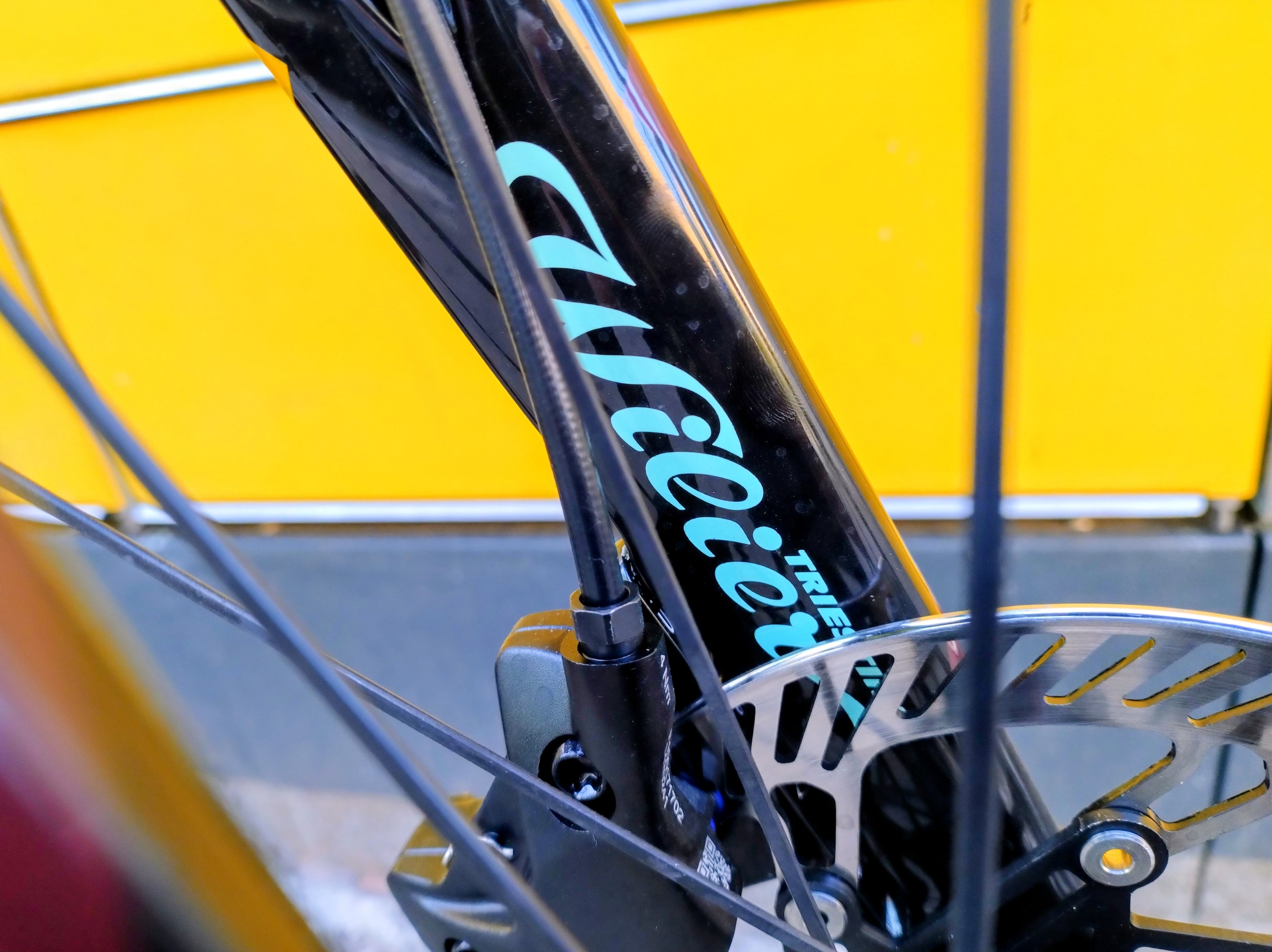 Wilier Triestina Jena (M) Gravelbike Carbon Campagnolo Ekar 1x13