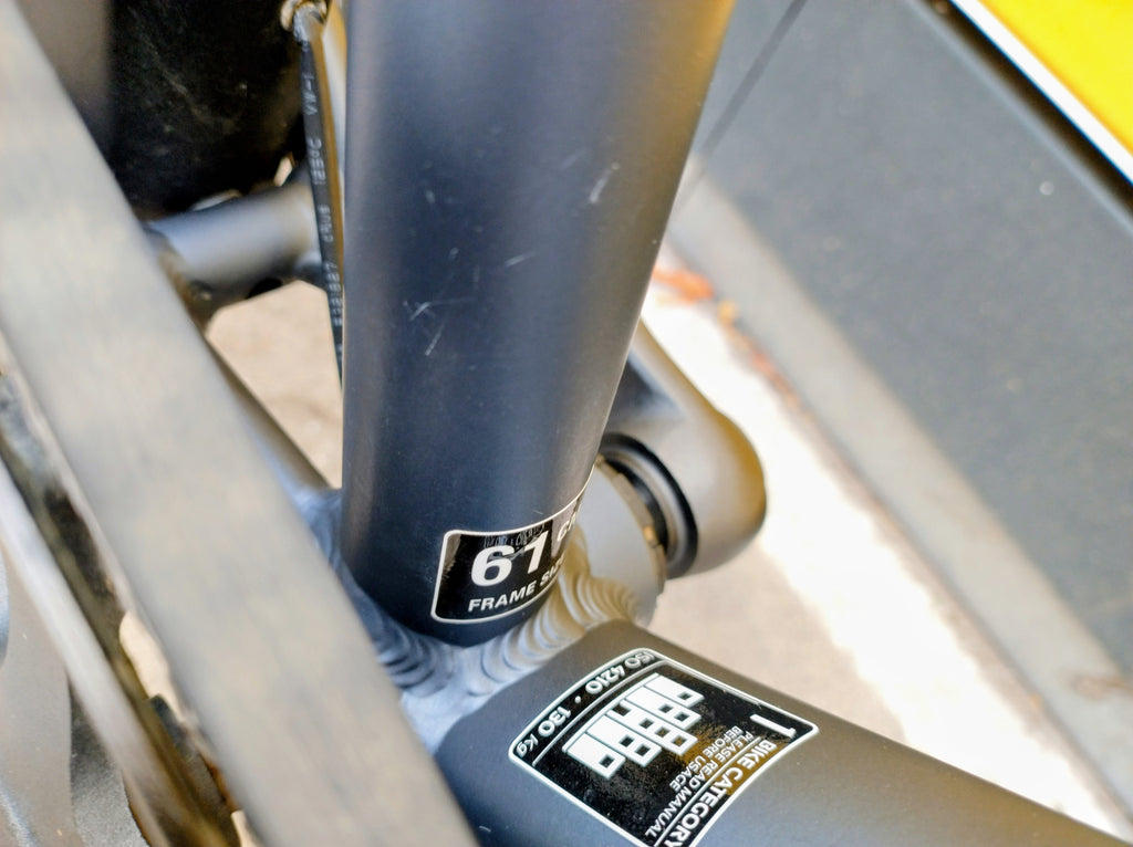 Stevens Courier Luxe Gent (XL) Citybike Commuter Gates Riemen Nexus 8