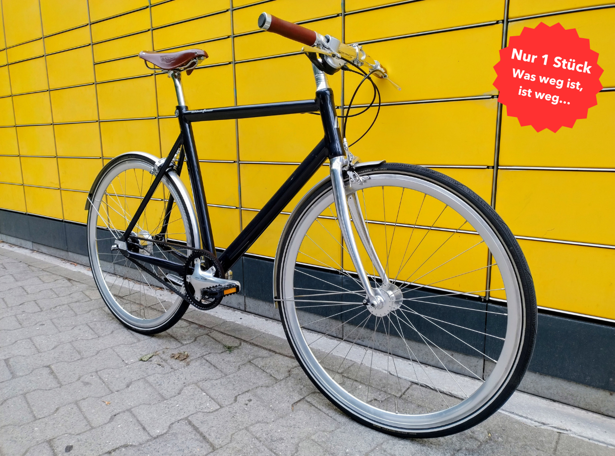 Gebrauchtes Fahrrad kaufen Schindelauer Ludwig VIII