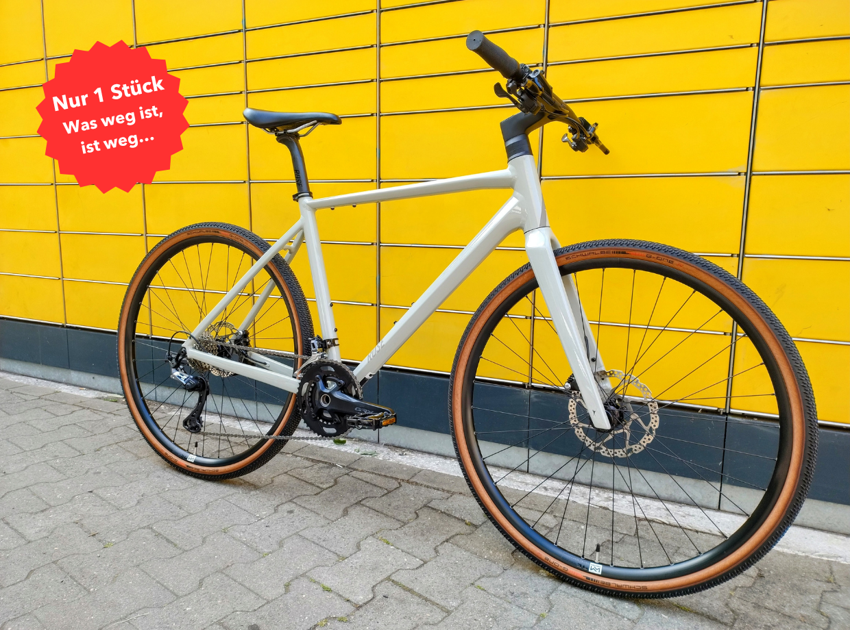 Rose Sneak 2 Citybike (M)