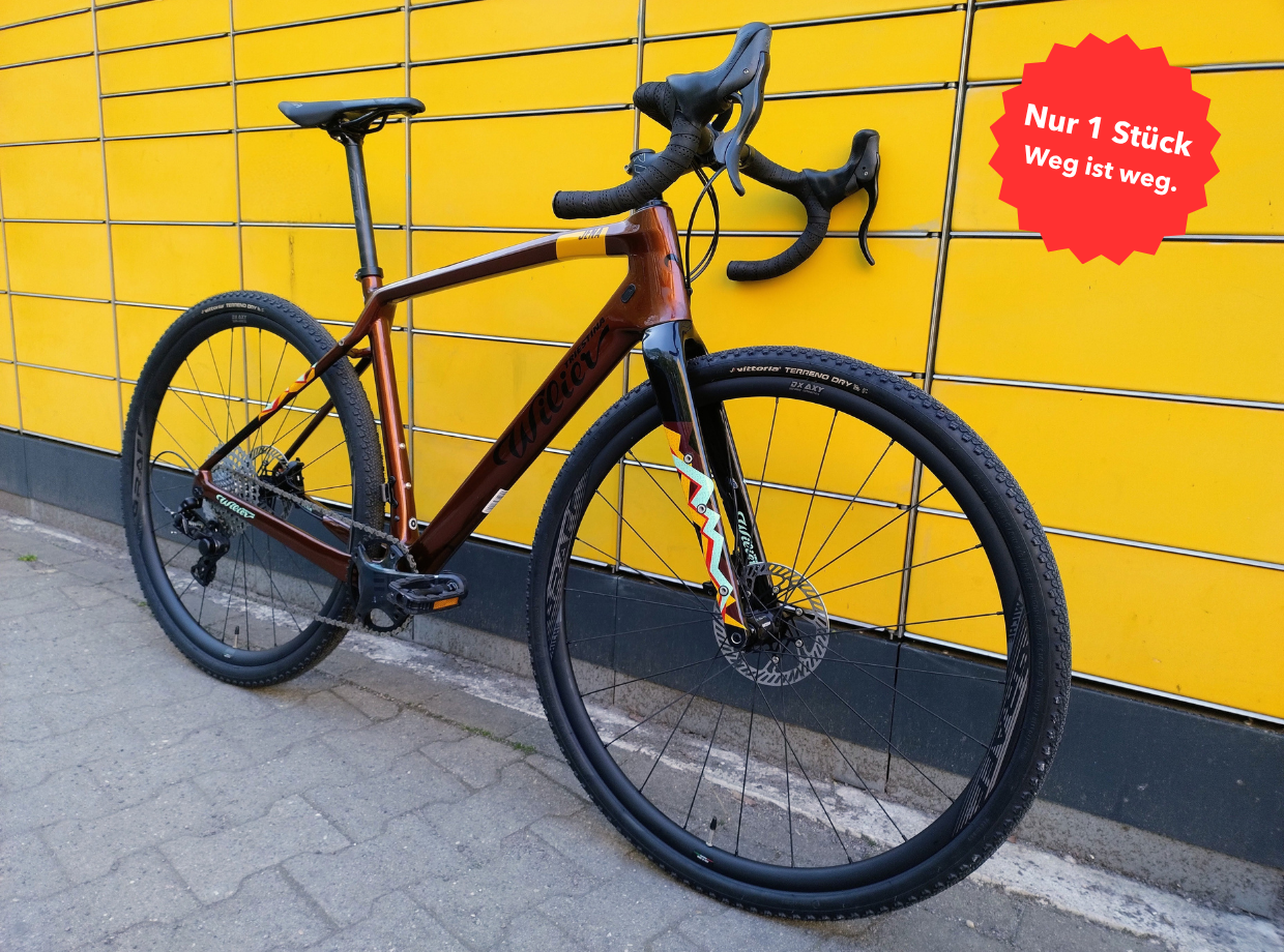 Wilier Triestina Jena (M) Gravelbike Carbon Campagnolo Ekar 1x13